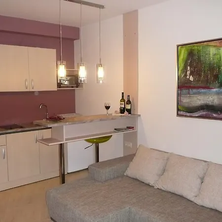 Apartament Aheloy Daire *